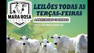 Mara Rosa Leilões - Goiás