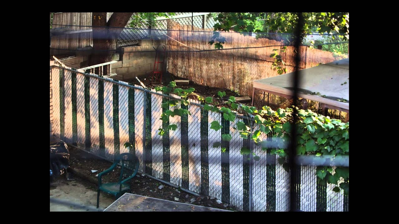 Surveillance Photography Personal, Public and Profit YouTube