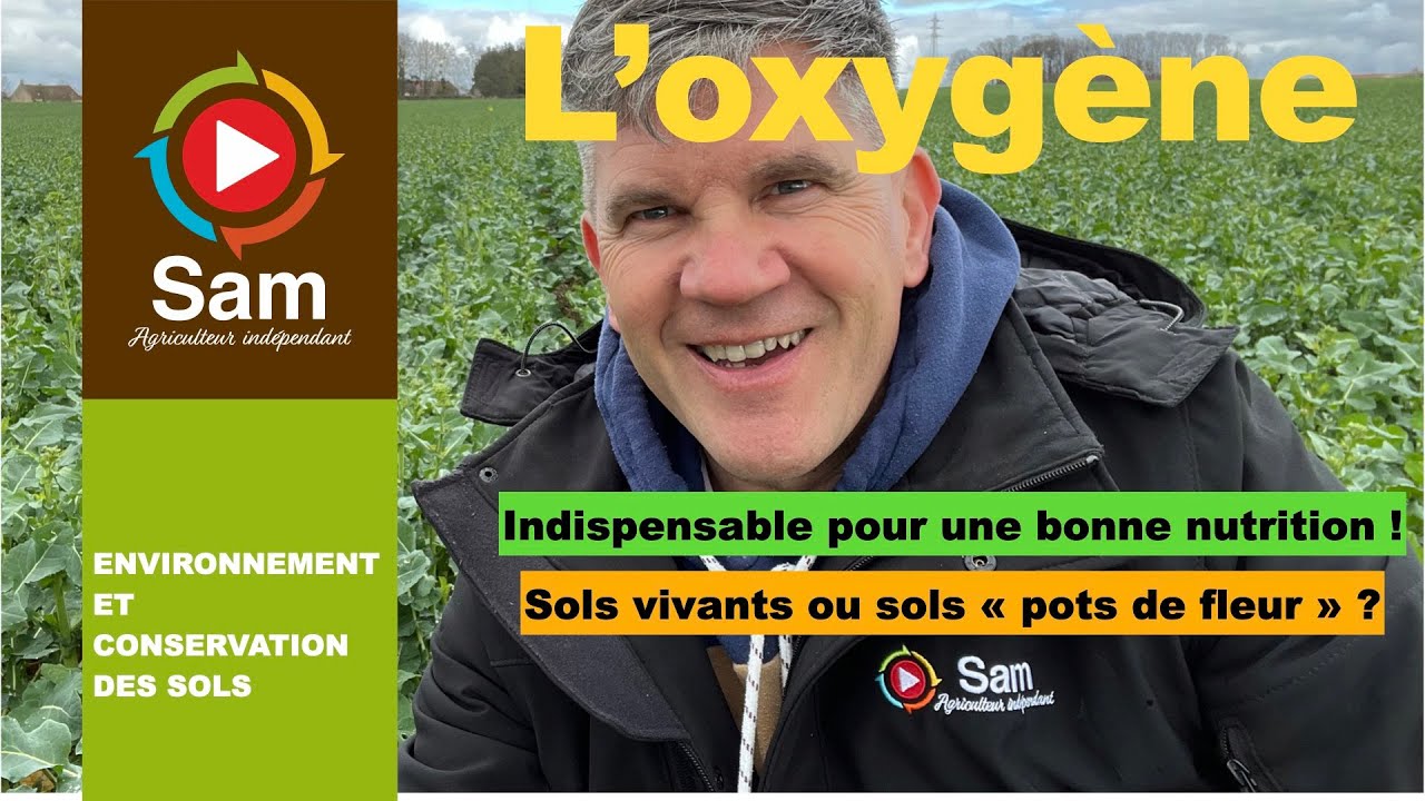 L'oxygène dans les sols : indispensable ? Les engrais ne fonctionnent pas, pourquoi ? Sols vivants