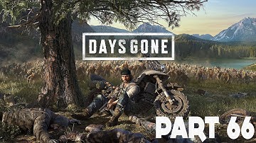 Days Gone Gameplay Walkthrough :: PS4 Pro :: Part 66 :: RUNNER CAVE!!