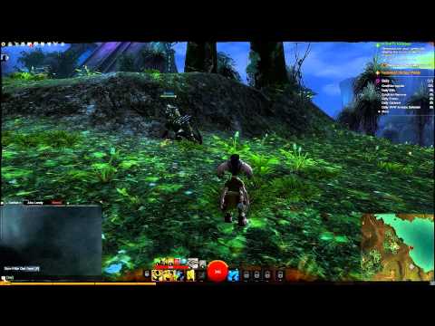 Gw2 Immersive Combat Mode