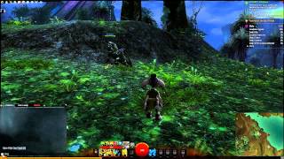 Gw2 Immersive Combat Mode