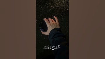 قارئ شريف مصطفى سورة النور🤍✨