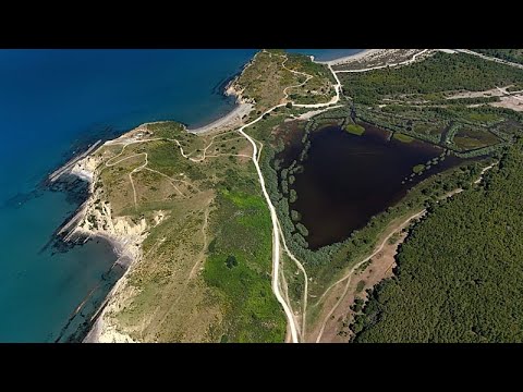 Волна фейков появилась на фоне акций протеста против проекта курорта в Албании