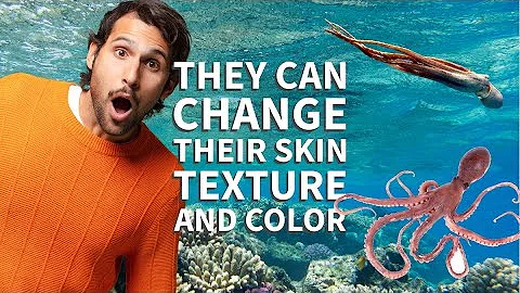 How do octopuses change their skin texture and color?