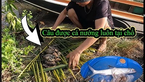 Câu được cá nướng luôn tại chổ