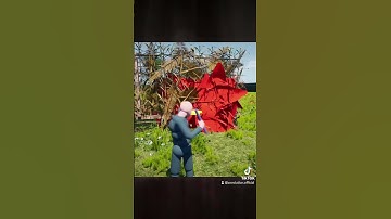 New Reed Structures | Zevolution