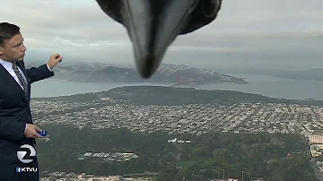 Bird photobombs weather report