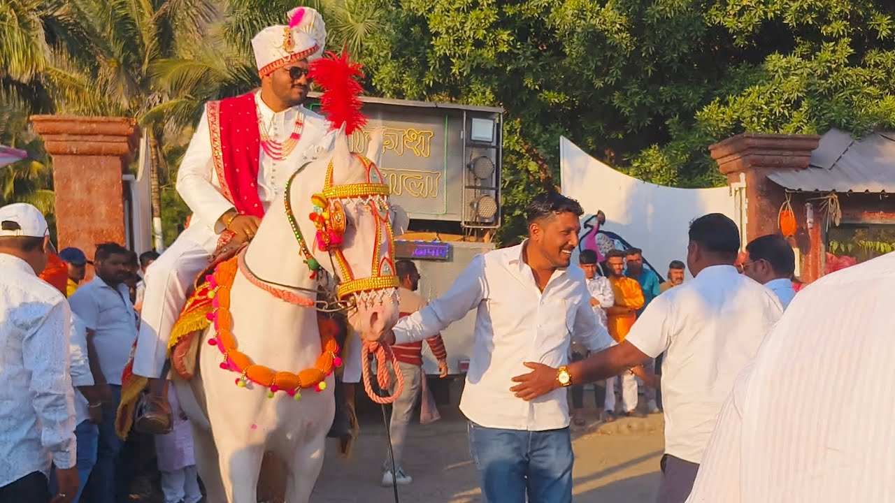 Siraj Kate horse farm kodoli satara.       9881964938