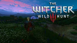 Witcher 3 Journey Ambient | Epic Dark Fantasy Soundscape for Immersion