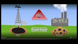 Details The Carbon Cycle  StudyJams! Science   Scholastic Guide
