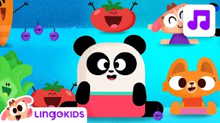 Lingokids ABC FRUITS and VEGGIES 🥭🥬 ABC Song for Kids