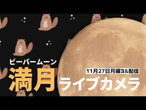 【天体LIVE】満月ライブカメラ／11月の満月「ビーバームーン」in千葉市 2023.11.27(月)