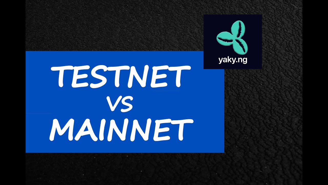 Testnet vs Mainnet Airdrops Explained