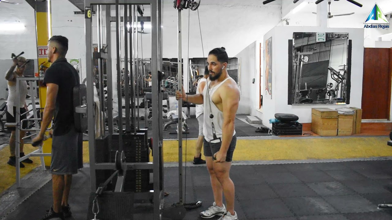 POLEA PARA TRÍCEPS, POLEA DE GIMNASIO, CUERDA SOGA TRICEPS