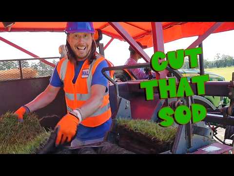 Handyman Hal at the SOD FARM! Driving a Huge Grass Cutter 🚜🌱