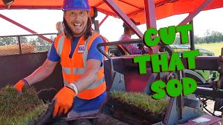 Handyman Hal at the SOD FARM! Driving a Huge Grass Cutter 🚜🌱