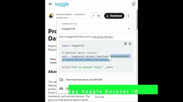 How to use Kaggle API to download dataset on Jupyter Notebook