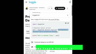 How to use Kaggle API to download dataset on Jupyter Notebook