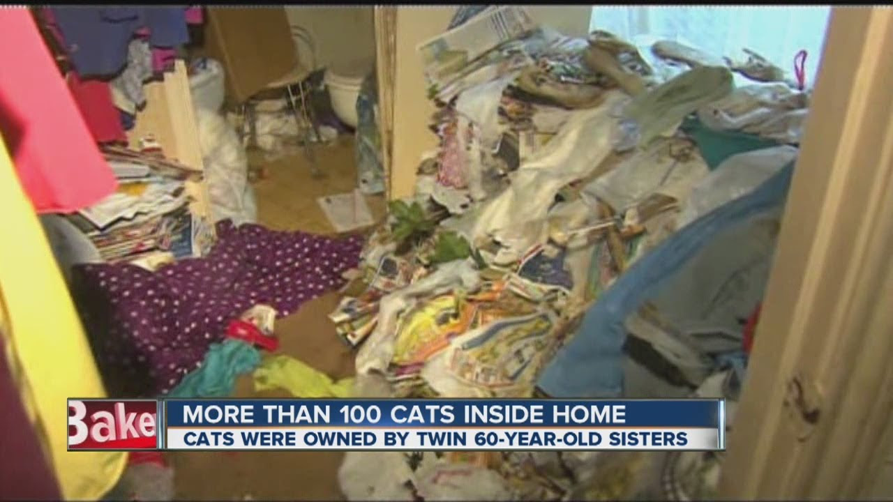 family cats　0618 22-pound house cat freaks out, forces family to hide - YouTube
