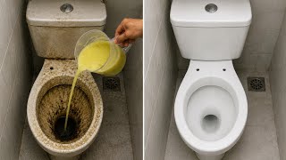 🔴MORRIA E NÃO SABIA: É só jogar no VASO SANITARIO e não tera mais esse PROBLEMA