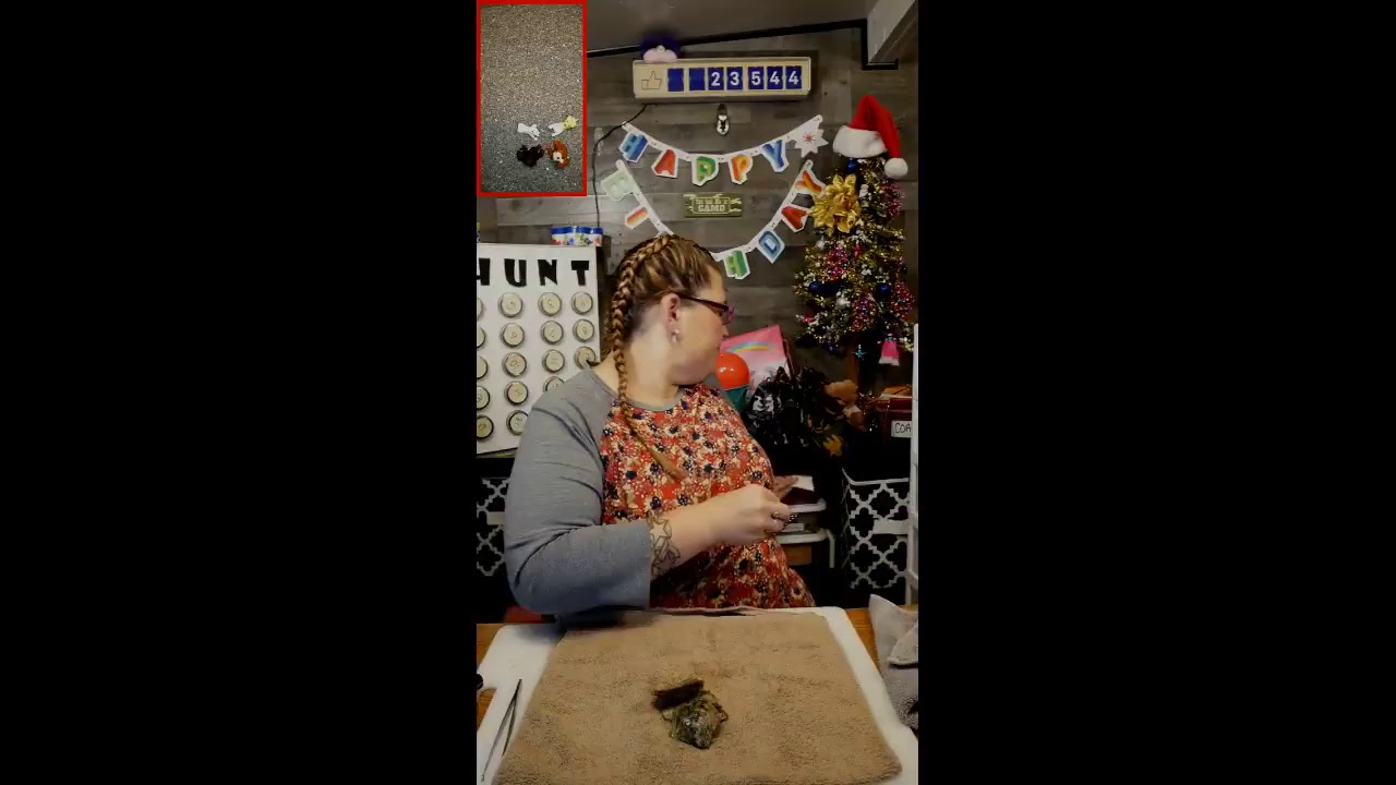 HAPPY 5TH BIRTHDAY RYDER!!!! Join us now to open Akoya oysters and Pearls with Lisa & Ryder 7/27