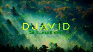 Djavid - Staufen Original Mix