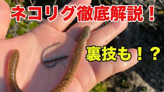 バス釣り ネコリグの作り方を徹底解説 ワーム付け方やチューブは必要性 シンカーの釣れるセッティングの裏技も紹介する ベイトフィネス イッセイ Osp バス釣りjapanちゃんねる Youtube