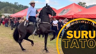 Caballos Bailadores En La Cabalgata Surutato 2022 - 4K P1