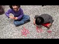 Rangoli challenge