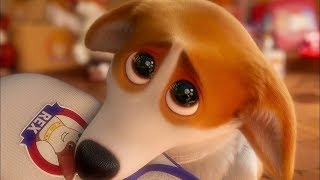 Мультфильм 2019 — «Королевский корги» 🐶🐶🐶 — Дата Выхода ... Мультфильм 2019 — «Королевский корги» 🐶🐶🐶 — Дата Выхода ...