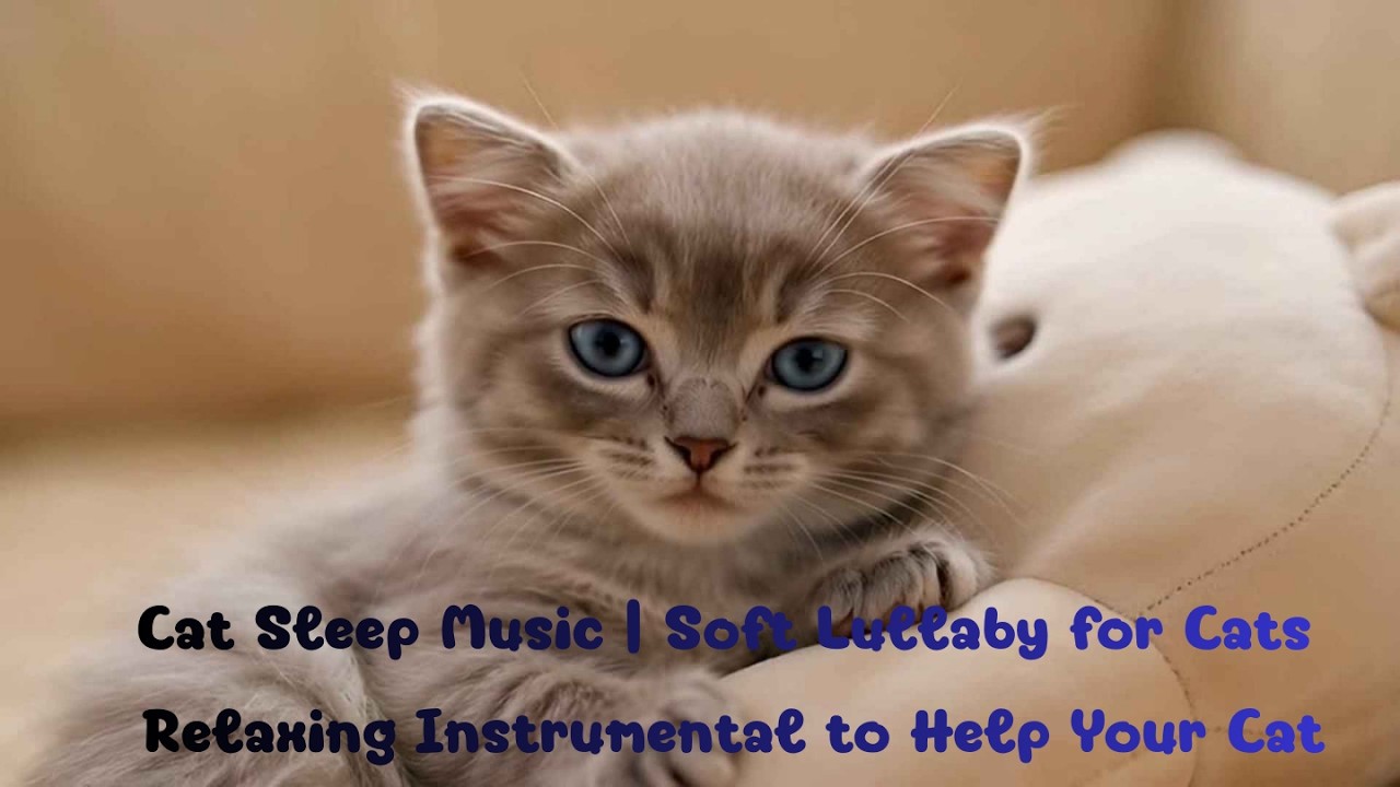 Cat Sleep Music  Soft Lullaby for Cats  Relaxing Instrumental to Help Your Cat Sleep