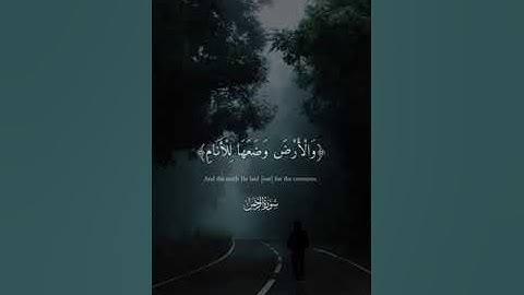 ماهر المعيقلي تلاوة خاشعة سورة الرحمن 🌾حالات واتس اب قرآن كريم #ماهر_المعيقلي