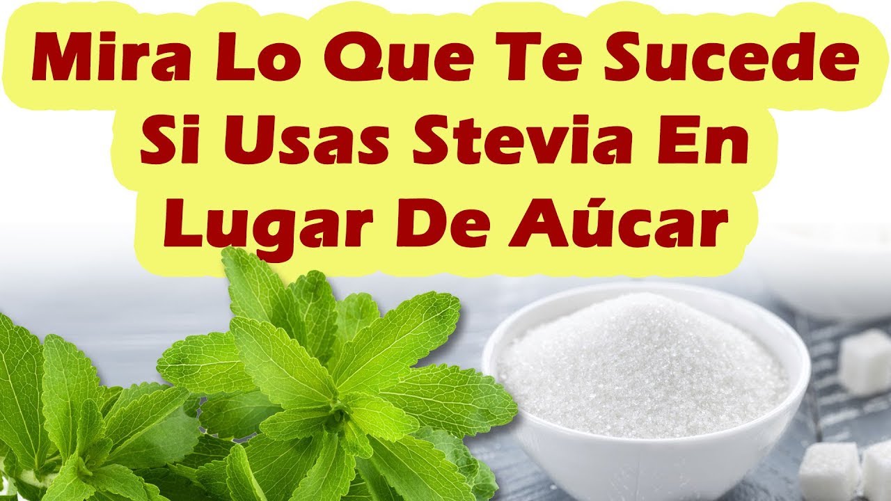 ▷ Stevia Y Otros Edulcorantes Naturales - Mira Todos Los Beneficios