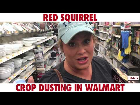 red-squirrel---crop-dusting-in-walmart-(omg-lol-funny-comedian)
