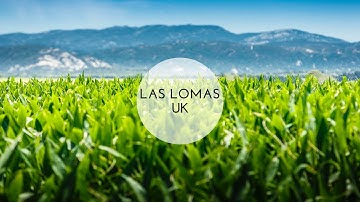 Leek and Broccoli Harvest/ Production 2019