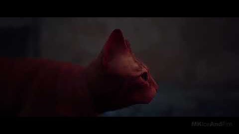 STRAY Gameplay Walkthrough Part 1 FULL GAME [4K 60FPS PS5] -  No Commentary