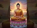 XIN TÂM CON BÌNH AN GIỮA DÒNG ĐỜI ,ĐÚNG SAI , TRÁI PHẢI