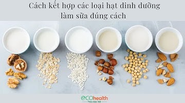 Cách kết hợp các loại hạt dinh dưỡng làm sữa đúng cách