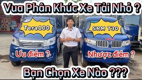 Nên mua xe tải dưới 1 tấn hãng nào