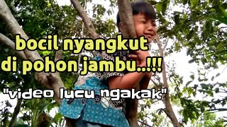 BOCIL NYANGKUT DI POHON JAMBU||VIDEO LUCU BIKIN NGAKAK SAKIT PERUT||tahan tawa.