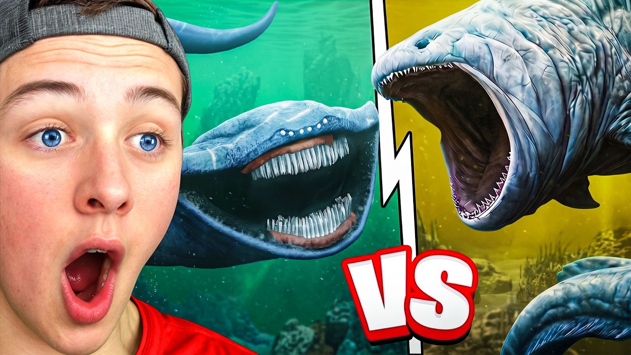 Bloop Vs El Gran Maja