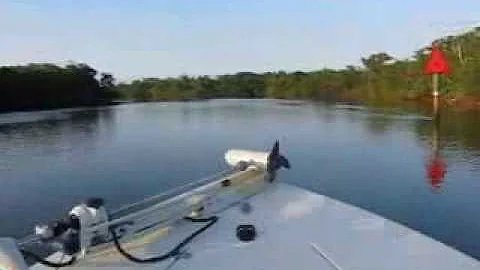 Wiggins Pass Backwaters - Bonita Springs FL