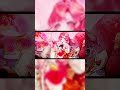 【歌ってみた】ワールドイズマイン歌ってみた【早乙女ベリー/にじさんじ】#shorts #にじさんじ #歌ってみた