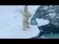 Magic Franz Josef Land