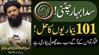 4 Chizon ki  ye chatni 100 Bimarion ka ilaj hai | Ubqari screenshot 2