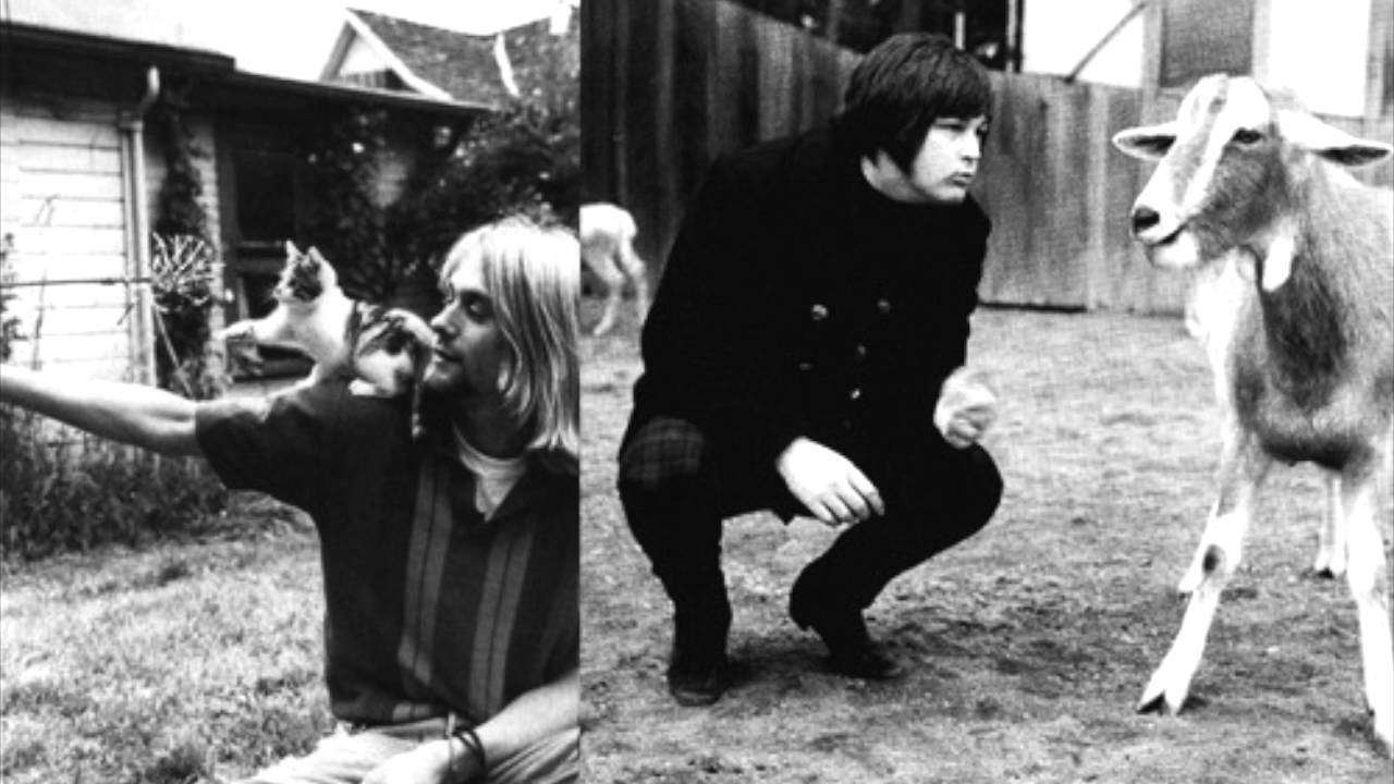 Watch BEACH BOYS VS NIRVANA on YouTube Watch BEACH BOYS VS NIRVANA on YouTube