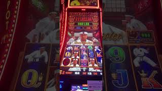 4228. beautiful SENSEI MASTER game