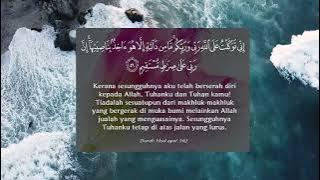 SURAH HUD | Ayat 56