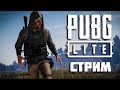 Стрим PUBG Lite! Охота на нубов )